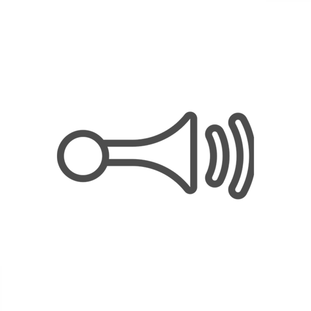 Alarm / Park Sensörü / Merkezi Kilitler