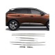 Çmk Peugeot 3008 2016-2019 Cam Nikelajı