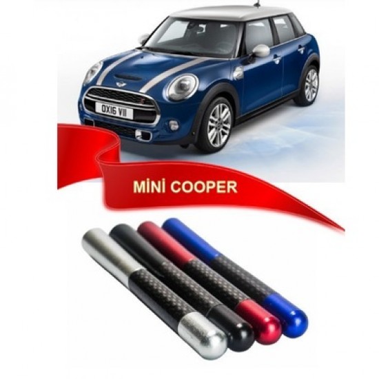 Mini Cooper Uyumlu Karbon Desenli Çubuk Metal Radyo Anteni