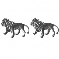 Space Aslan Logo / YACI60 Space Aslan Logo / YACI60